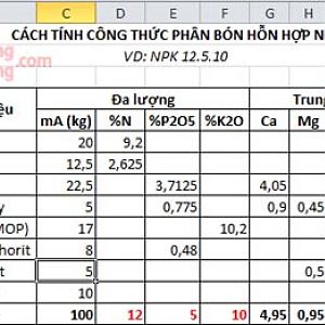 Cong Thuc NPK 12-5-10(1)