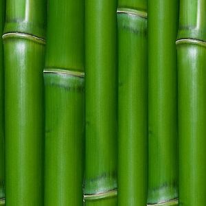 Slide-bamboo