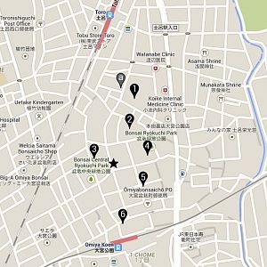 Omiya-bonsai-village-map