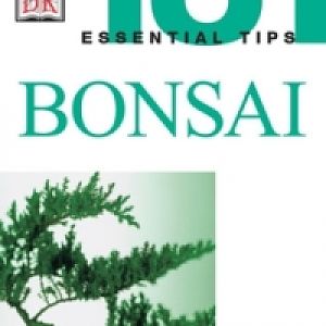 101-bonsai-tomlinson