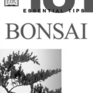 101-bonsai-tomlinson2