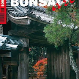 Bonsai-art-2