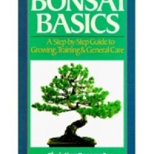 Bonsai-basics-pessey