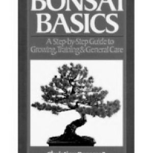Bonsai-basics-pessey2