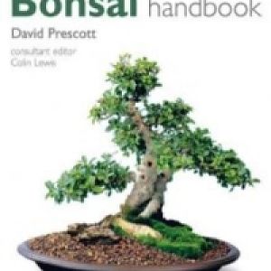 Bonsai-handbook-lewis