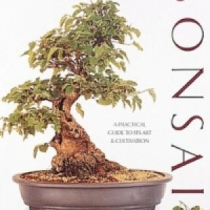 Complete-bonsai-book-tomlinson
