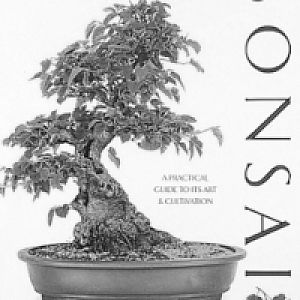 Complete-bonsai-book-tomlinson2
