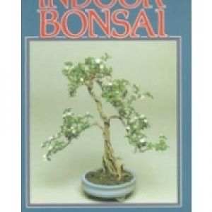 Indoor-bonsai-lesniewicz2